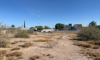 TERRENO EN VENTA, VILLA JUÁREZ DURANGO.