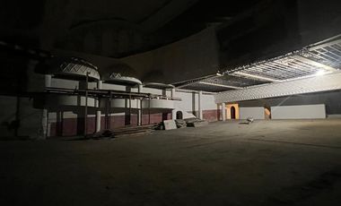 Se vende Edificio en Zona Centro - Teatro de la Ciudad