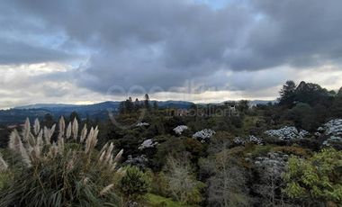 ARRIENDO de CASAS en ENVIGADO