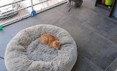 Departamento en S.Fer.-Vias/Libert.