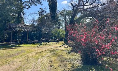 Casa en venta-Los Naranjos-2.900m Lote-Pileta-5 Amb.