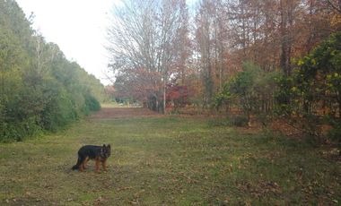 Terreno en  Barrio Privado Estancia la Catalina
