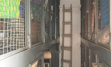 Departamento - Tigre Residencial