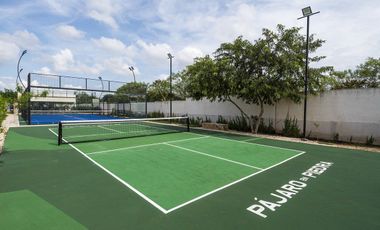 Departamento en renta planta baja Pájaro en piedra