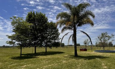 Casa Quinta con 14 Has Colón Entre Ríos