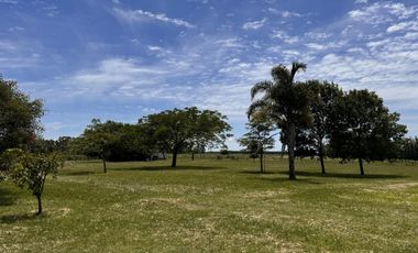 Casa Quinta con 14 Has Colón Entre Ríos