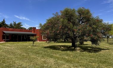 Casa Quinta con 14 Has Colón Entre Ríos