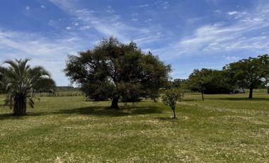 Casa Quinta con 14 Has Colón Entre Ríos