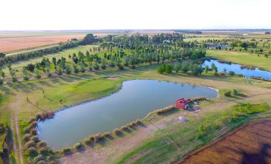 Venta de Lotes en La Rinconada, Ibarlucea