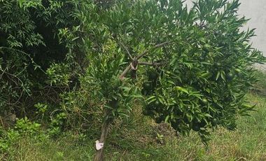 Casa en Lanús Oeste