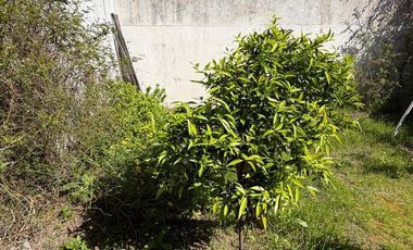 Casa en Lanús Oeste