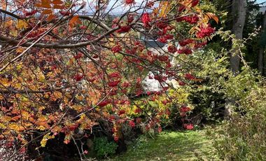 Casa - San Carlos De Bariloche