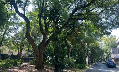Súper Oportunidad, Edificio Corporativo de Lujo Para Oficinas Colonia Florida