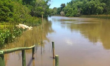 Chacra 15 has - Isla para disfrutar del descanso soñado - San Fernando