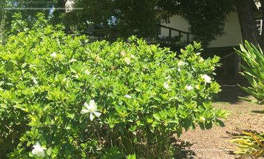 Chacra 15 has - Isla para disfrutar del descanso soñado - San Fernando