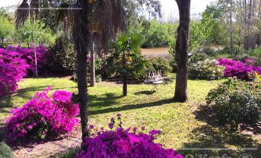 Chacra 15 has - Isla para disfrutar del descanso soñado - San Fernando
