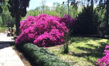 Chacra 15 has - Isla para disfrutar del descanso soñado - San Fernando