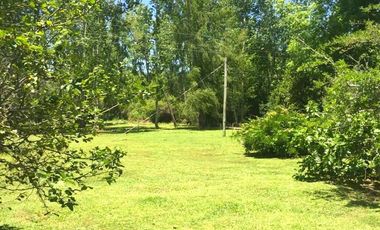 Chacra 15 has - Isla para disfrutar del descanso soñado - San Fernando