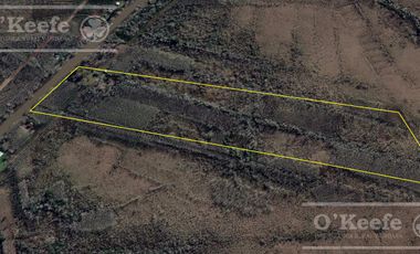 Chacra 15 has - Isla para disfrutar del descanso soñado - San Fernando