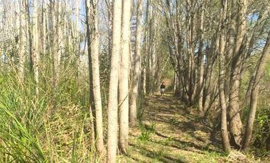 Chacra 15 has - Isla para disfrutar del descanso soñado - San Fernando