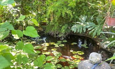 Casa en Los Lagartos