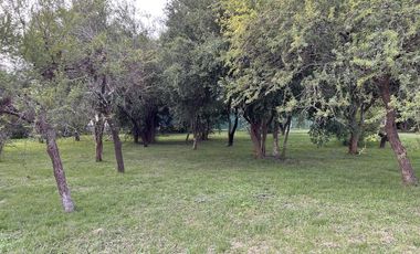 Casa 3 dormitorios con importante lote en Colón