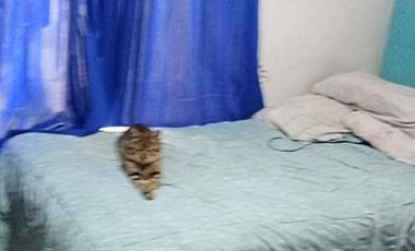 Casa de 2 ambientes a la venta con gran Lote - Munro