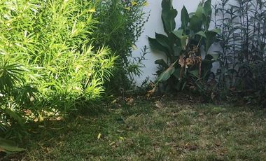 Casa de 3 ambientes y cochera!