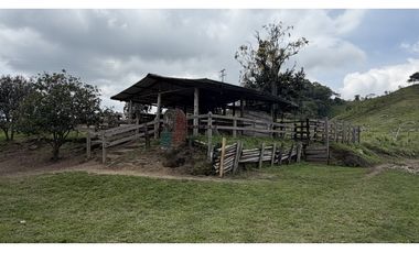 VENTA DE FINCA EN SALENTO, QUINDO, COLOMBIA