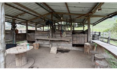 VENTA DE FINCA EN SALENTO, QUINDO, COLOMBIA