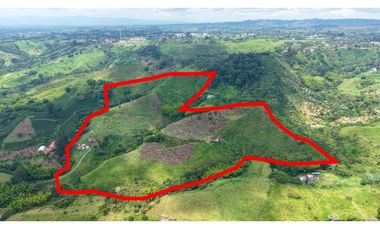 VENTA DE FINCA EN SALENTO, QUINDO, COLOMBIA