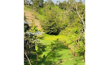 Se vende finca en el municipio de El Retiro, Antioquia
