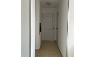 ALQUILER APARTAMENTO AMOBLADO ALBROOK