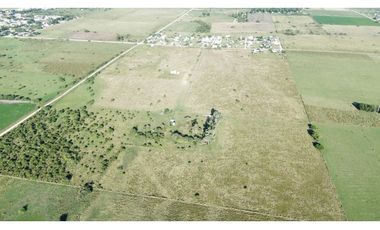 Vendo Campo de 26 Hectáreas en San Justo, Entre Ríos.