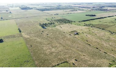 Vendo Campo de 26 Hectáreas en San Justo, Entre Ríos.