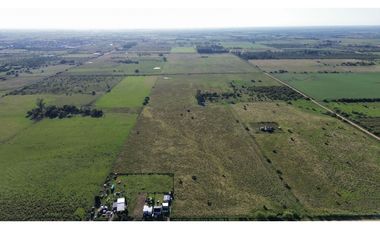Vendo Campo de 26 Hectáreas en San Justo, Entre Ríos.