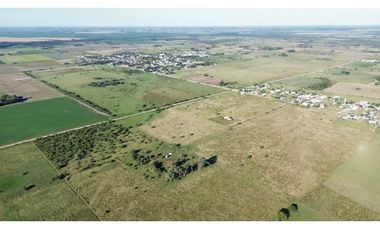 Vendo Campo de 26 Hectáreas en San Justo, Entre Ríos.