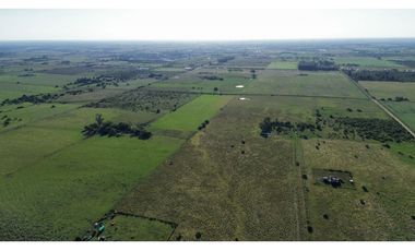 Vendo Campo de 26 Hectáreas en San Justo, Entre Ríos.