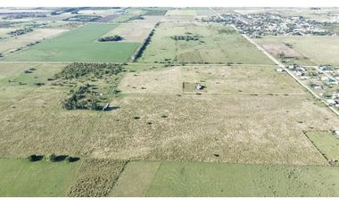 Vendo Campo de 26 Hectáreas en San Justo, Entre Ríos.