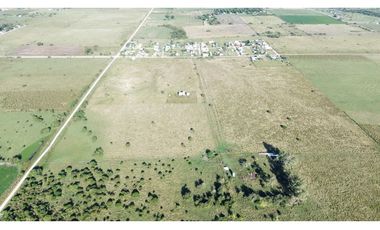 Vendo Campo de 26 Hectáreas en San Justo, Entre Ríos.