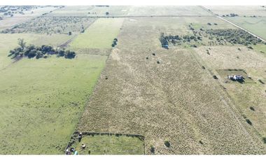 Vendo Campo de 26 Hectáreas en San Justo, Entre Ríos.