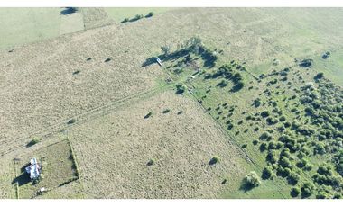 Vendo Campo de 26 Hectáreas en San Justo, Entre Ríos.