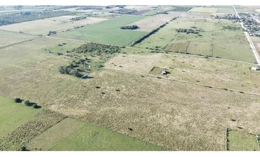 Vendo Campo de 26 Hectáreas en San Justo, Entre Ríos.