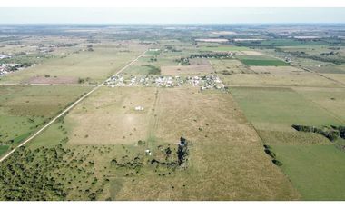 Vendo Campo de 26 Hectáreas en San Justo, Entre Ríos.
