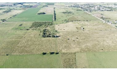 Vendo Campo de 26 Hectáreas en San Justo, Entre Ríos.