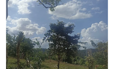 TERRENO COMERCIAL / CAPIRA / 1300M / SOBRE  VIA INTERAMERICANA