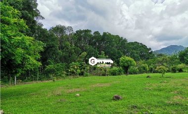 CHAME / FINCA EN BEJUCO / 10 HECTAREAS / CERCA DE LA INTERAMERICANA
