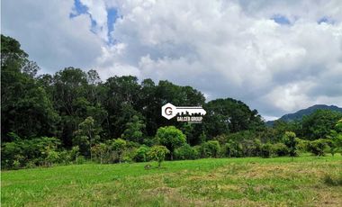 CHAME / FINCA EN BEJUCO / 10 HECTAREAS / CERCA DE LA INTERAMERICANA