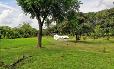 CHAME / FINCA EN BEJUCO / 10 HECTAREAS / CERCA DE LA INTERAMERICANA