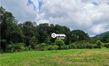CHAME / FINCA EN BEJUCO / 10 HECTAREAS / CERCA DE LA INTERAMERICANA